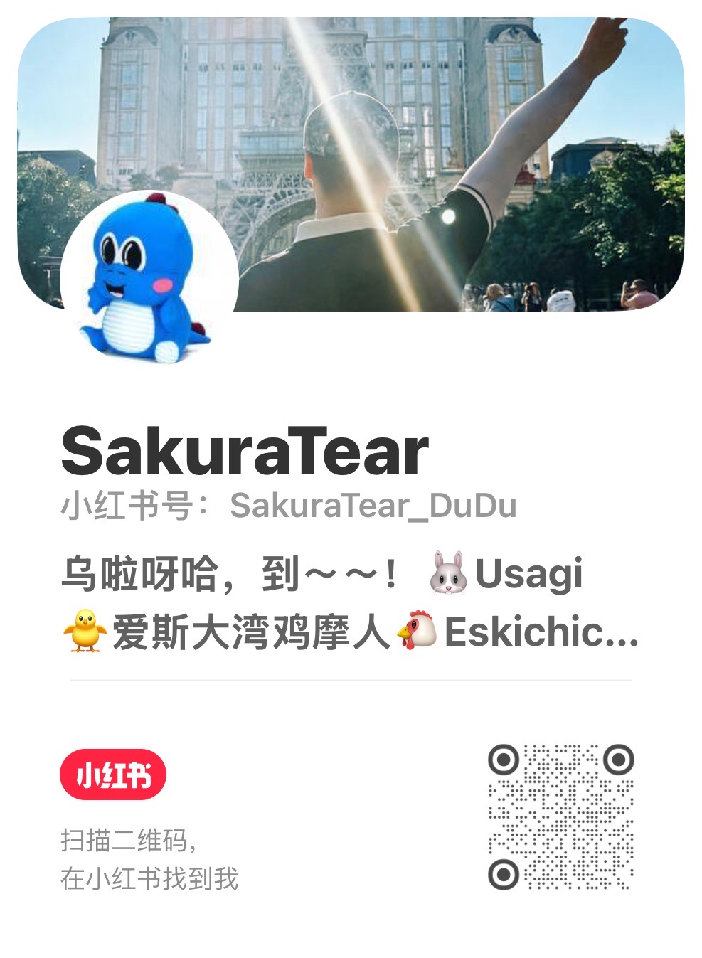 小红书二维码,扫码联系大湾鸡表情包作者